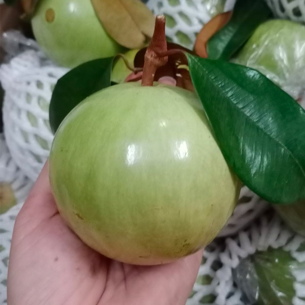 (HỘ KINH DOANH) VÕ HỒNG TRUNG