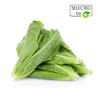 (HỘ KINH DOANH) VÕ HỒNG TRUNG