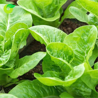 (HỘ KINH DOANH) VÕ HỒNG TRUNG